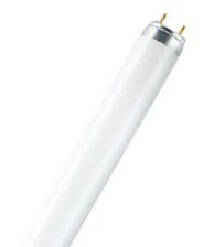 Лампа люминесцентная L 18W/77 FLUORA 10x1 Osram 