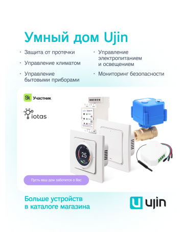 Товар дня